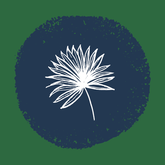26-STC-0211-Website15